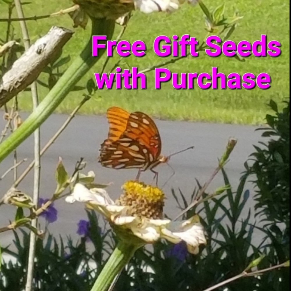 FLOWER SEEDS